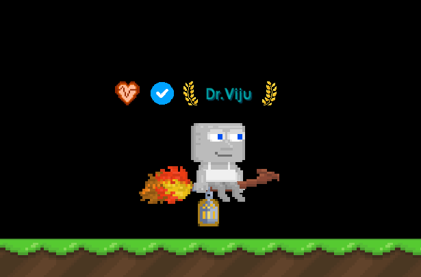 File:Harvest Broomstick.gif