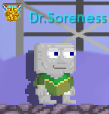 File:Sleeved Poncho.png