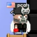 pcats wearing the Phonecats Hat 2013 (Old Design)
