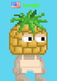 A player wearing the Pineapple Head