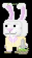A player wearing the full bunny set