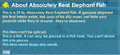 Description of Absolutely Real Elephant Fish.
