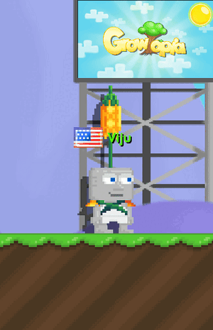 Pineapple Parasol.gif