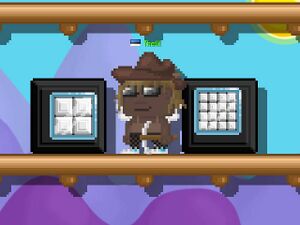 Teeny & Mini Block.jpg