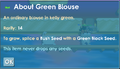 Green Blouse in-game description.