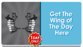 Musical Wings' store button