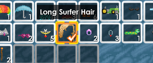 Hair in inventory in-game..png
