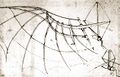 Leonardo Da Vinci's drawing, which became the source of inspiration for this item.
