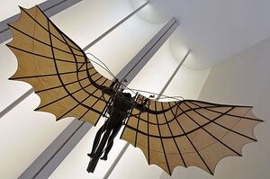Real Da Vinci Wings.jpg