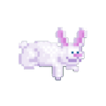 Cranial Lagomorph Crop